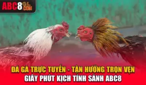 Đá Gà Trực Tuyến - Tận Hưởng Trọn Vẹn Giây Phút Kịch Tính Sảnh ABC8