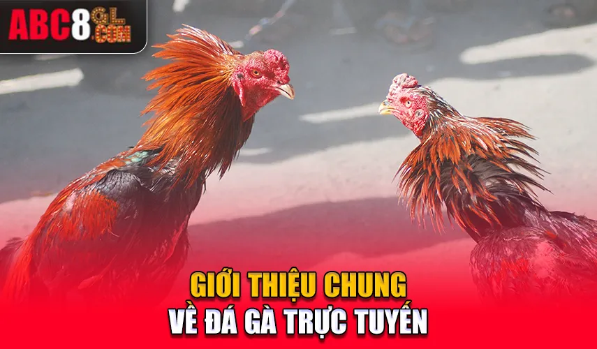 Giới thiệu chung về đá gà trực tuyến