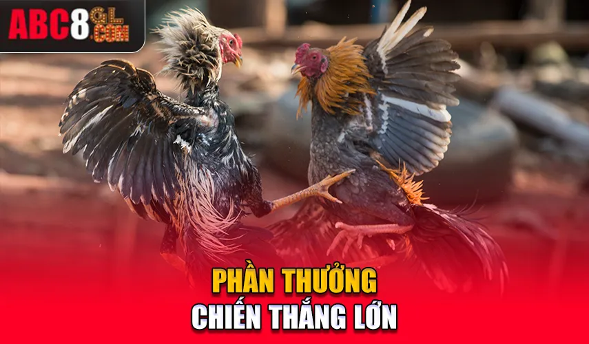 Phần thưởng chiến thắng lớn