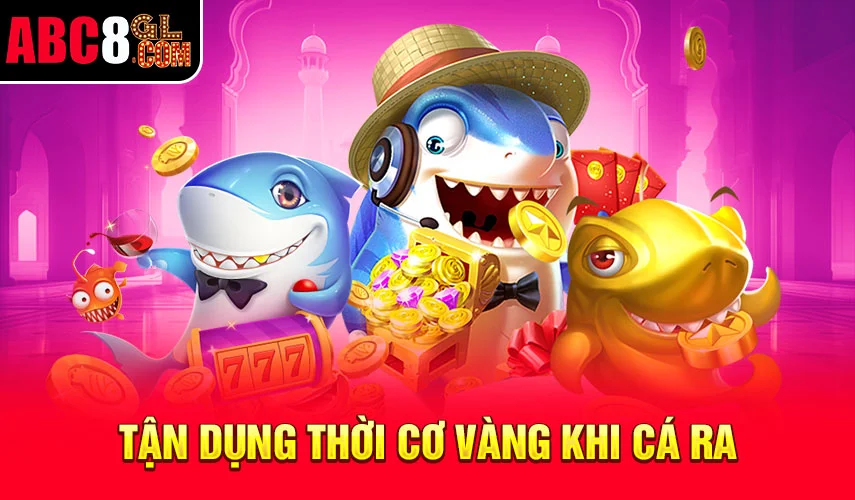  Tận dụng thời cơ vàng khi cá ra