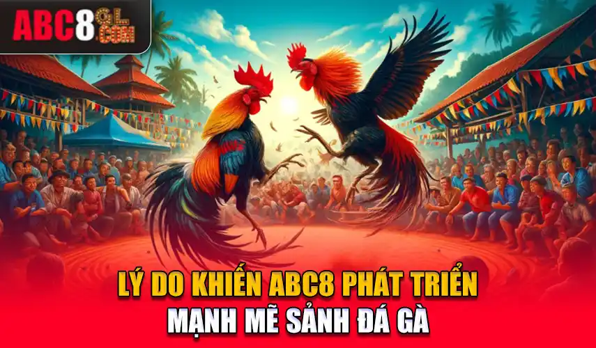 Lý do khiến ABC8 phát triển mạnh mẽ sảnh đá gà