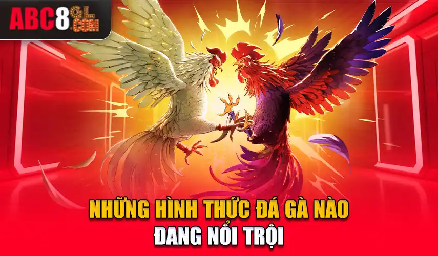 những hình thức đá gà đang nổi trội