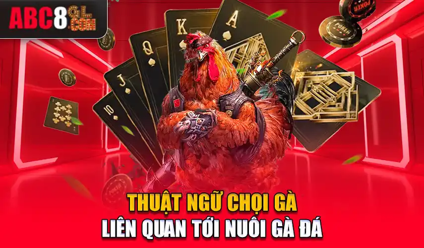 Thuật ngữ chọi gà liên quan tới nuôi gà đá