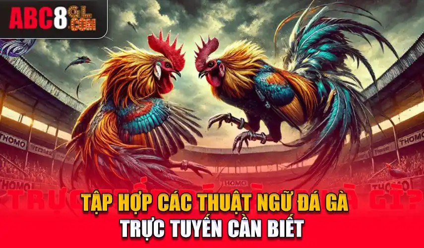 Tập hợp các thuật ngữ đá gà trực tuyến 