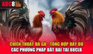 Chiến Thuật Đá Gà - Tổng Hợp Đầy Đủ Các Phương Pháp Bất Bại Tại 88CLB