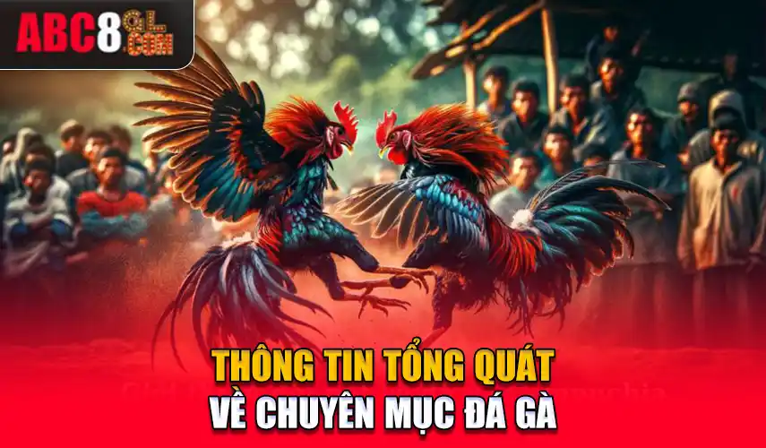 Thông tin tổng quát về chuyên mục đá gà