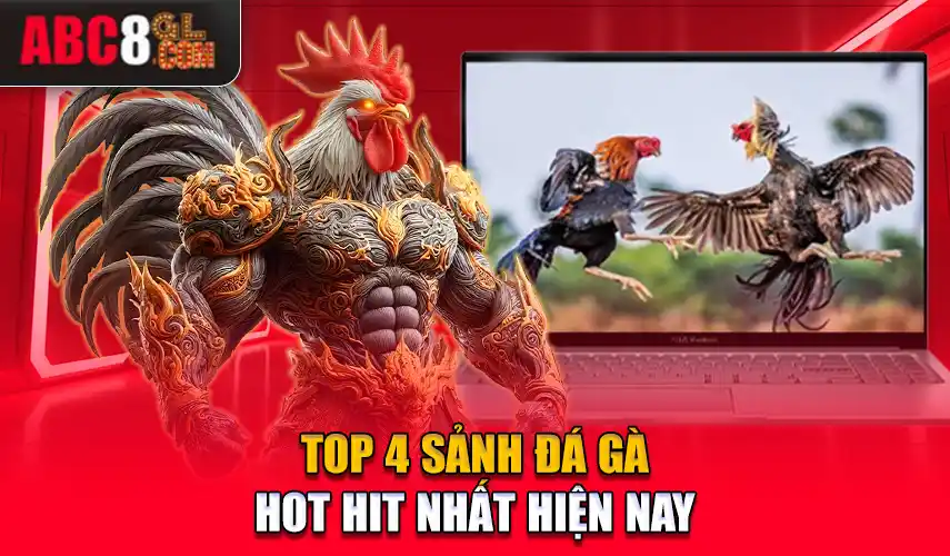 Top 4 sảnh đá gà hot hit nhất hiện nay