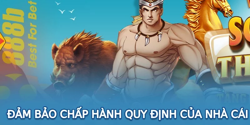 Nghiêm túc tuân thủ các quy định của nhà cái